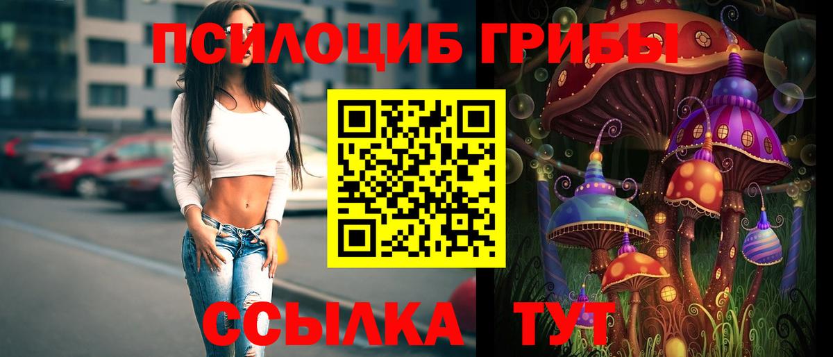Псилоцибиновые грибы GOLDEN TEACHER  Вход с VPN  Орёл 